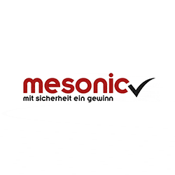 mesonic